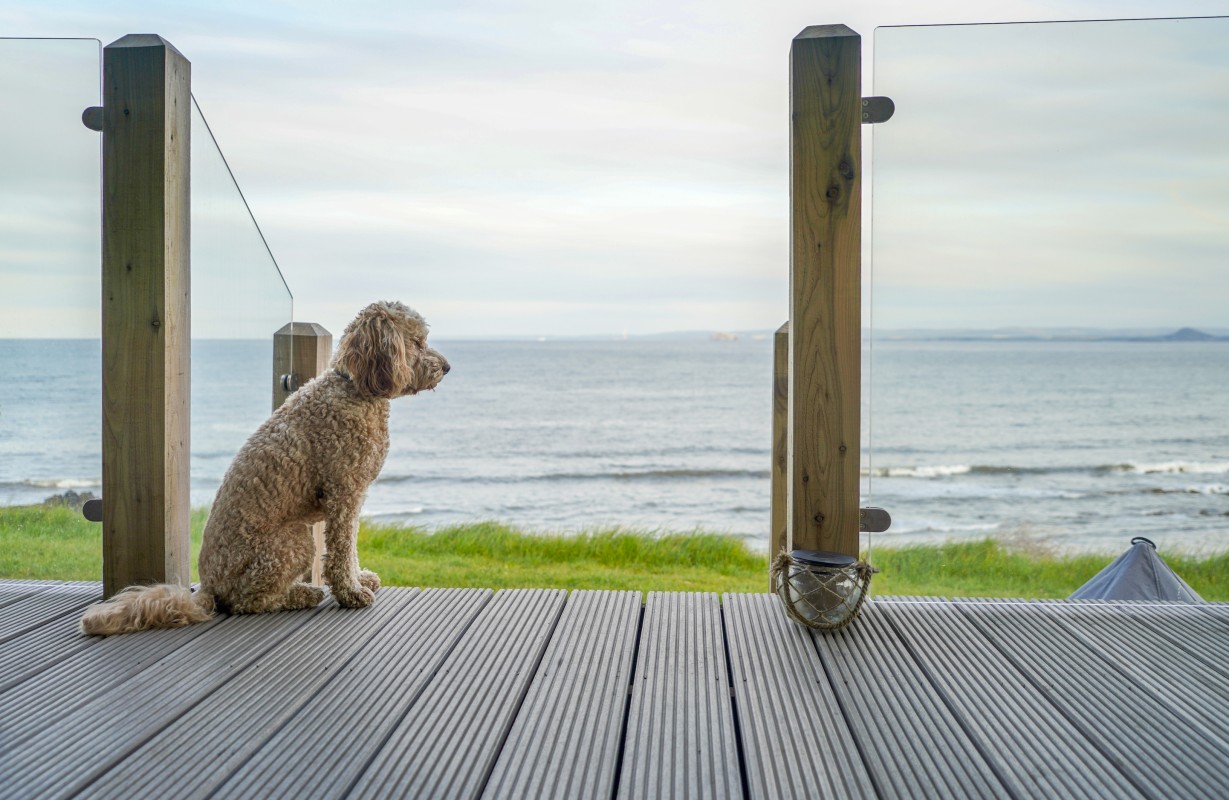 Catchpenny Safari Lodges, Elie