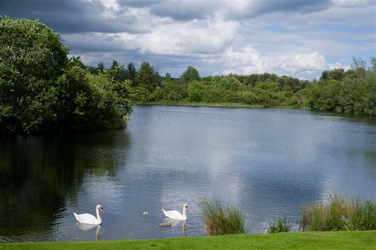 Birnie & Gaddon Lochs