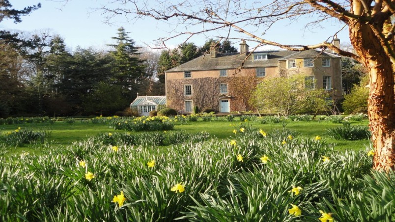 Backhouse Rossie Estate