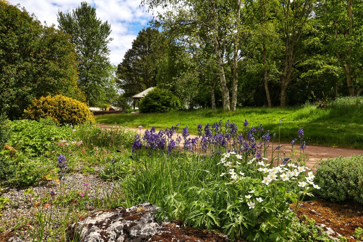 St Andrews Botanic Gardens