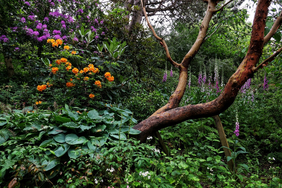 St Andrews Botanic Gardens