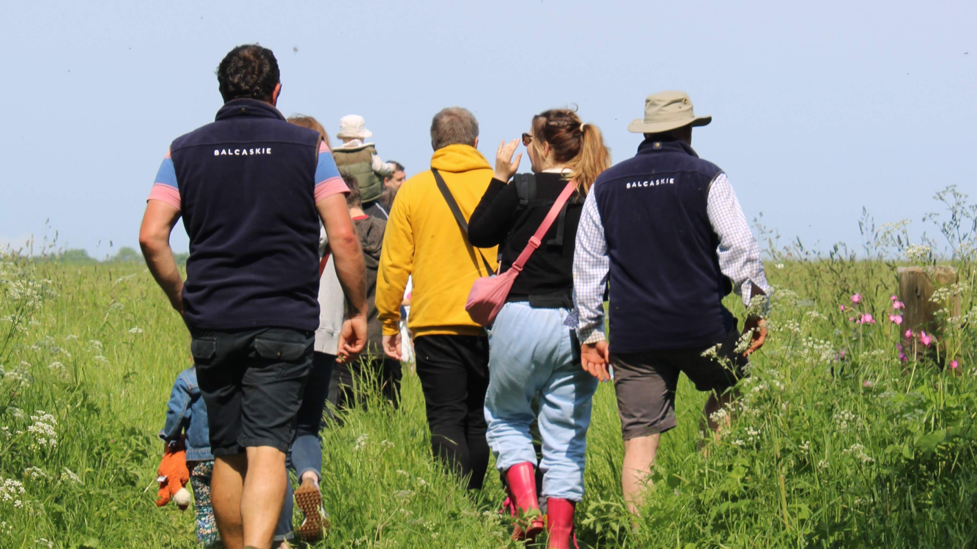 Bowhouse Grass to Grill 