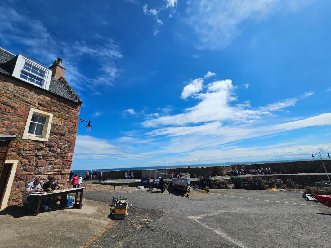 Reilly & Sons Harbour